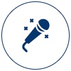 Chanteur Professionnel